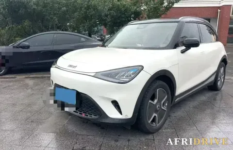 2022 Smart smart Elf 1