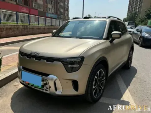2024 Smart smart Elf 5