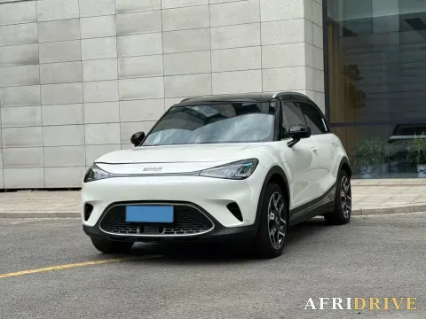 2022 Smart smart Elf 1