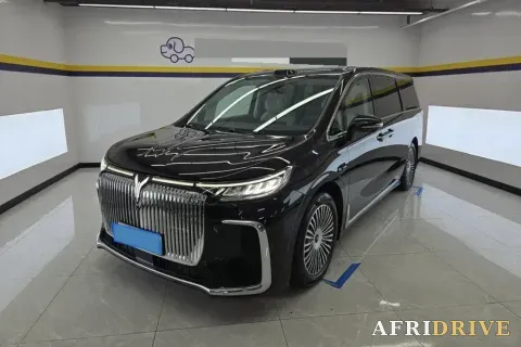 2025 Voyah Dream