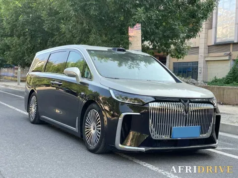 2025 Voyah Dream 3