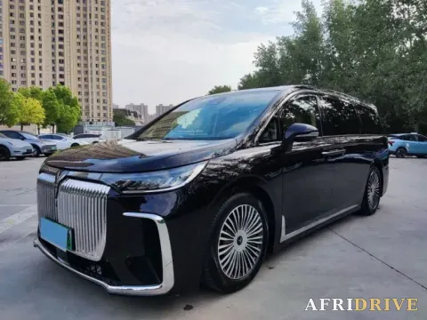 2025 Voyah Dream