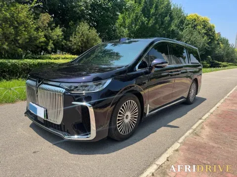 2025 Voyah Dream
