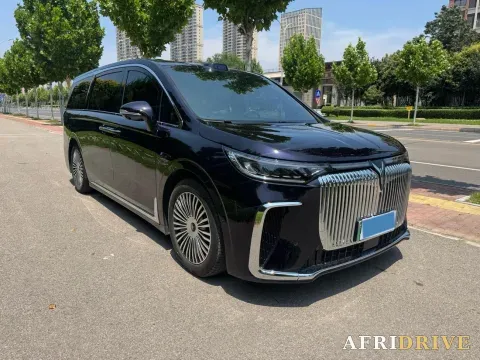 2025 Voyah Dream 3