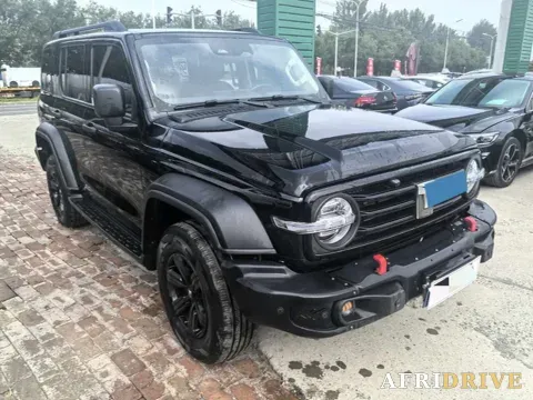 2025 Tank 300 3