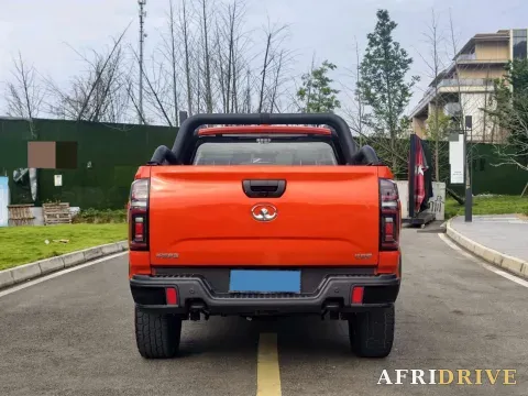 2020 Great Wall Poer 6