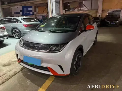 2021 Ford Escort