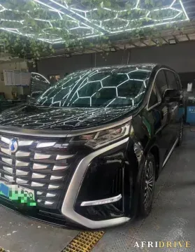 2024 Denza D9