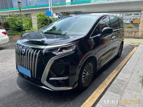2024 Denza D9