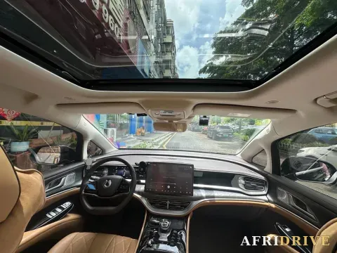 2024 Denza D9 7