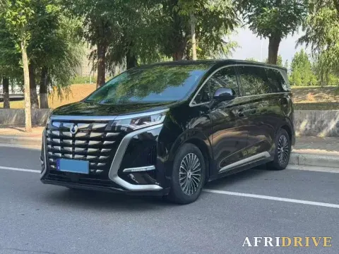 2024 Denza D9