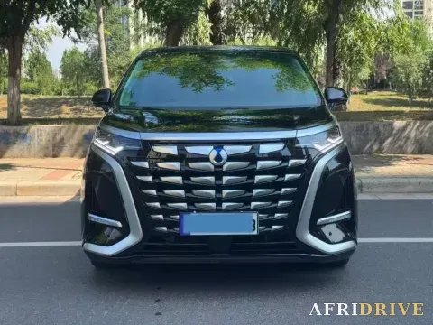 2024 Denza D9 2
