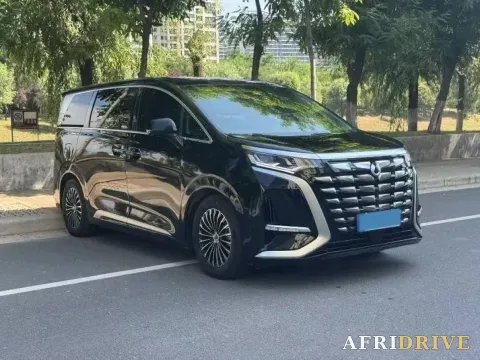 2024 Denza D9 3