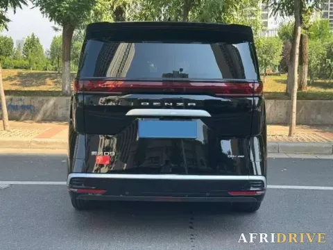 2024 Denza D9 8