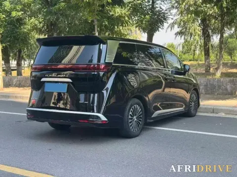 2024 Denza D9 9