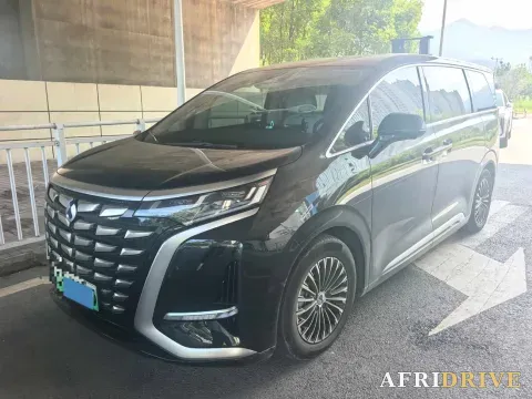 2024 Denza D9