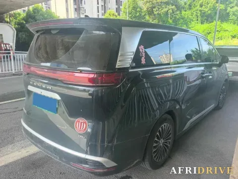 2024 Denza D9 2