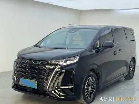 2024 Denza D9