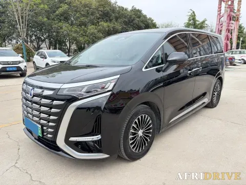 2024 Denza D9