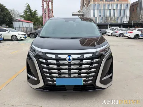 2024 Denza D9 2