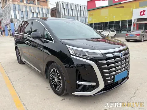 2024 Denza D9 3