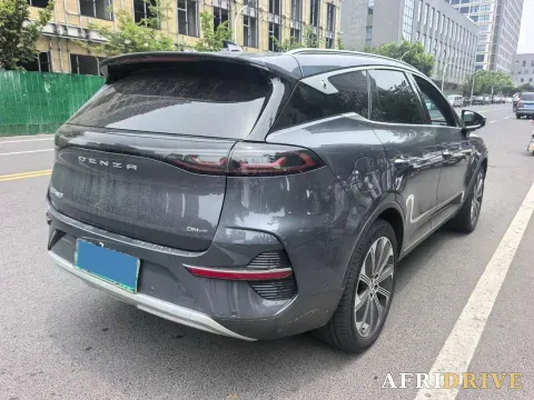 2023 Denza N8 4