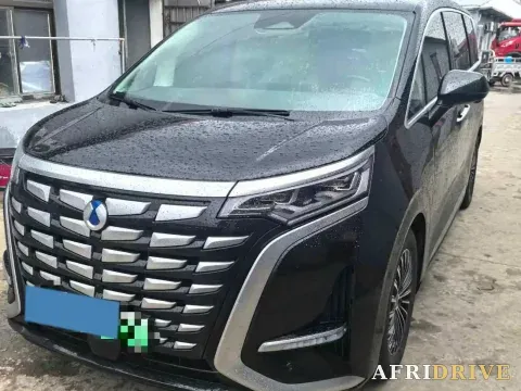 2024 Denza D9