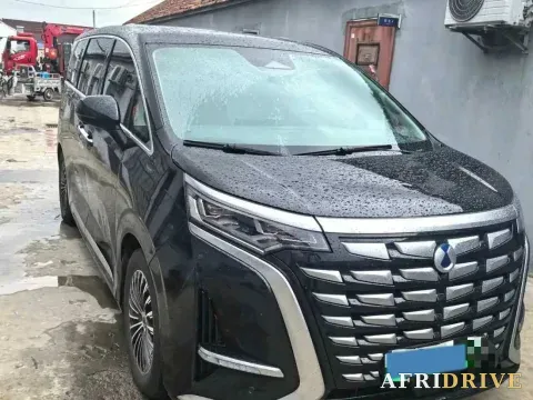 2024 Denza D9 2