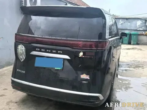 2024 Denza D9 3
