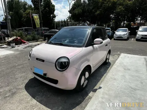 2022 Levdeo Mango