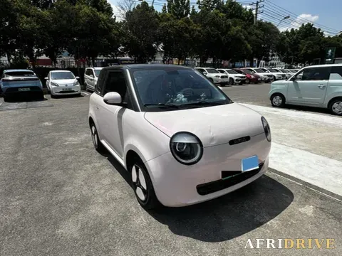2022 Levdeo Mango 3