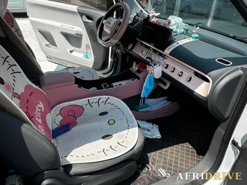 2022 Levdeo Mango 5