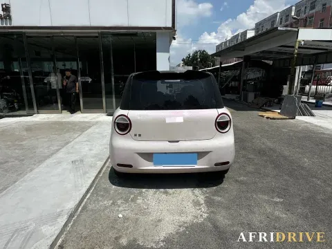 2022 Levdeo Mango 7