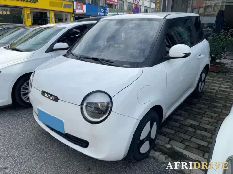 2022 Levdeo Mango