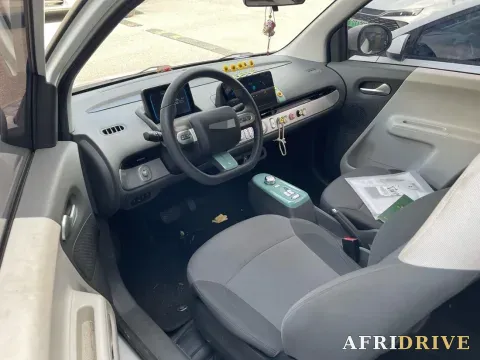 2022 Levdeo Mango 2