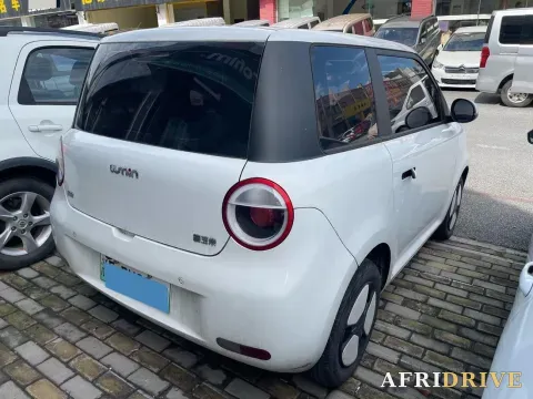 2022 Levdeo Mango 4