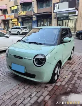 2022 Levdeo Mango