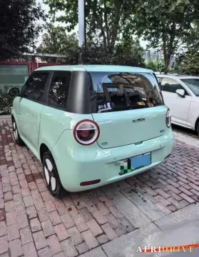 2022 Levdeo Mango 2