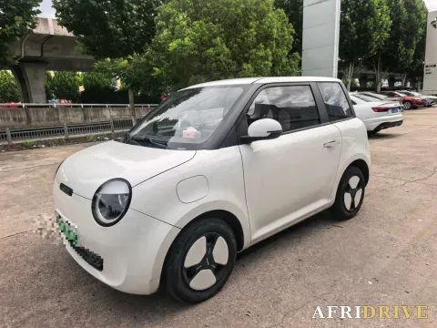 2022 Levdeo Mango