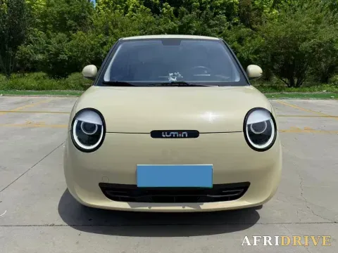 2022 Levdeo Mango 2