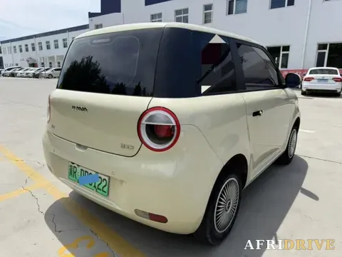 2022 Levdeo Mango 4