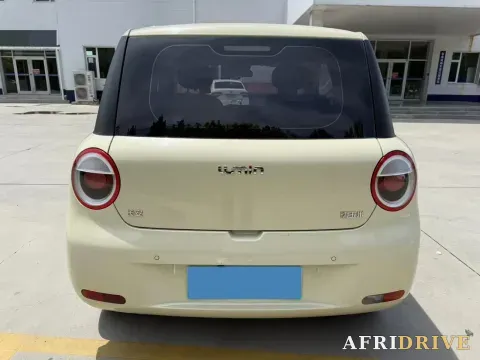 2022 Levdeo Mango 5