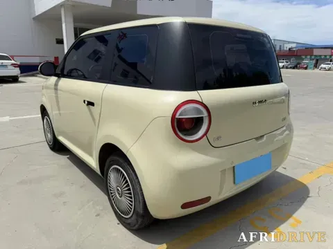 2022 Levdeo Mango 6