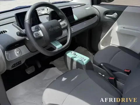 2022 Levdeo Mango 7