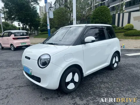 2022 Levdeo Mango