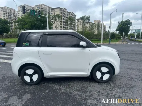 2022 Levdeo Mango 4