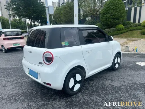 2022 Levdeo Mango 5