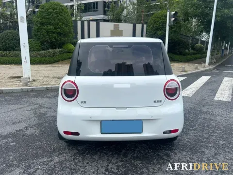 2022 Levdeo Mango 6