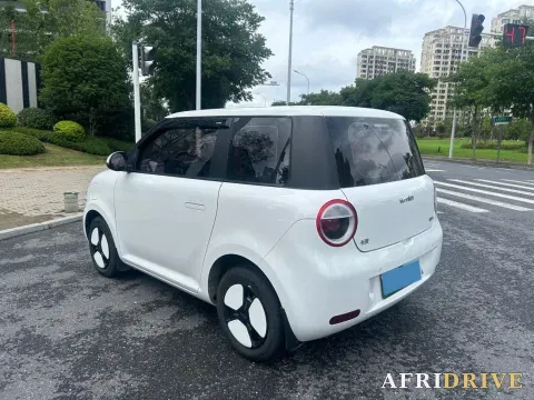 2022 Levdeo Mango 7