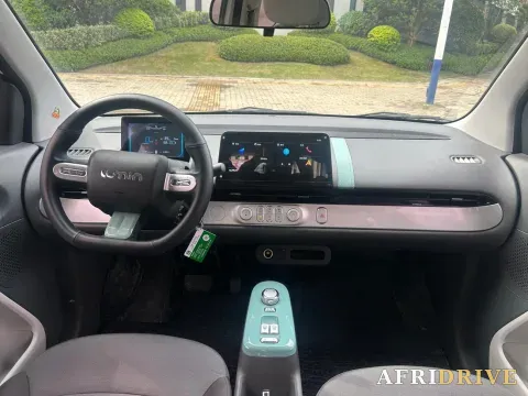 2022 Levdeo Mango 9